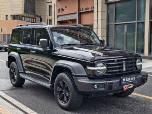 2021 model Tank 300
