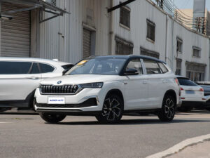 Skoda Kemike