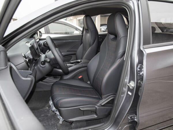 BYD E2