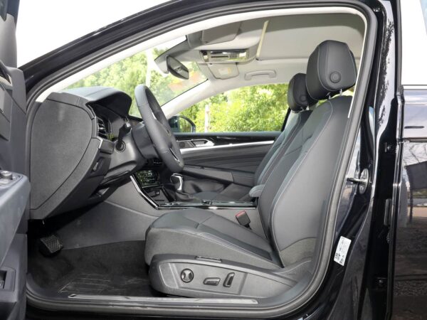 Volkswagen Passat Dragon Glory Edition