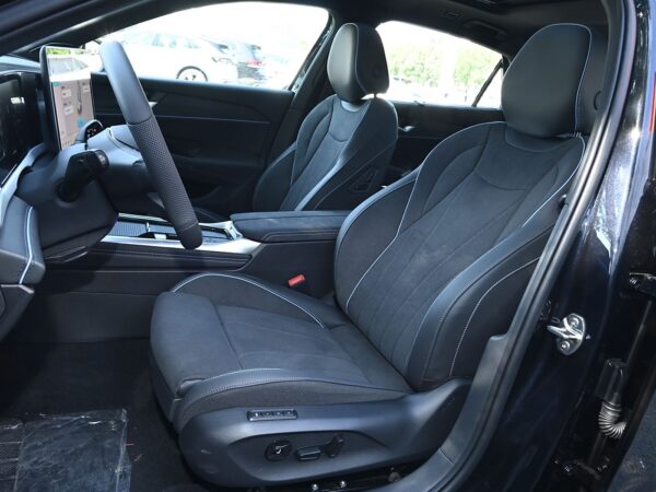 Volkswagen Passat Starry Sky Dragon Edition