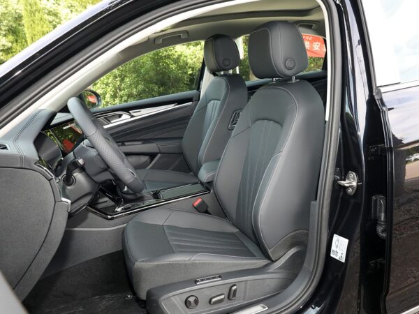 Volkswagen Passat Dragon Glory Edition