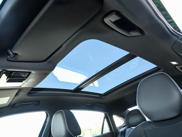 Volkswagen Passat Starry Sky Dragon Edition