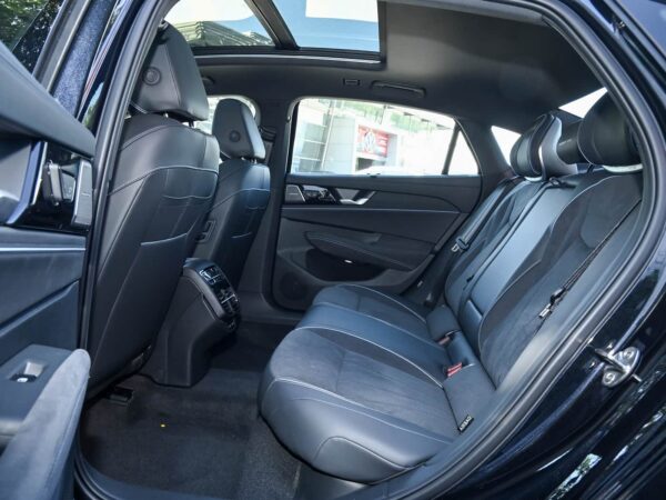 Volkswagen Passat Starry Sky Dragon Edition