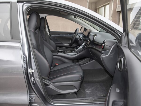 BYD E2