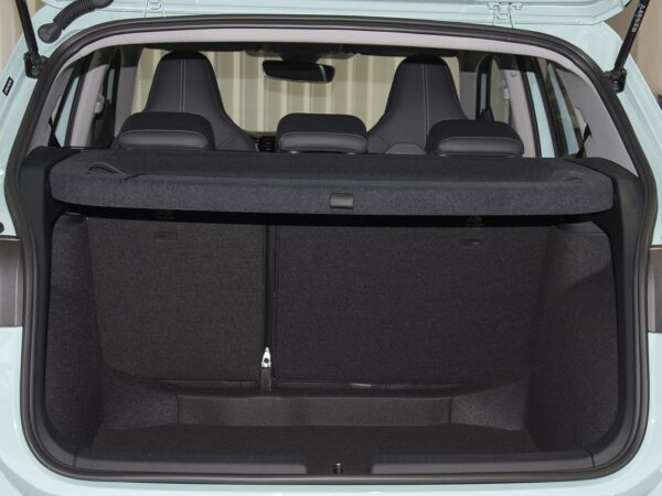 Volkswagen Tharu Ruixiang Edition