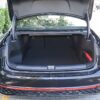 Volkswagen Passat Starry Sky Dragon Edition
