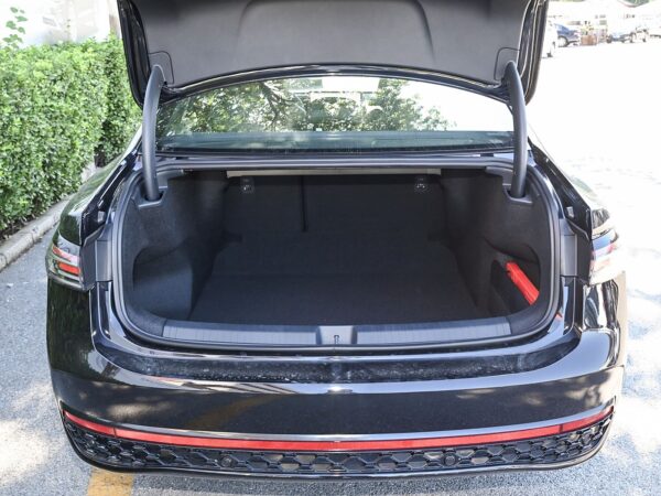 Volkswagen Passat Starry Sky Dragon Edition