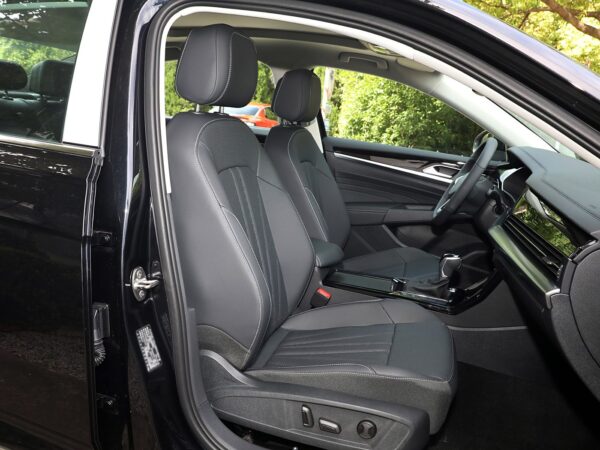 Volkswagen Passat Dragon Glory Edition
