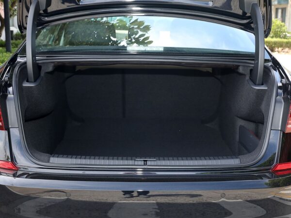 Volkswagen Passat Dragon Glory Edition