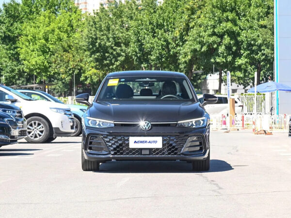 Volkswagen Passat Starry Sky Dragon Edition