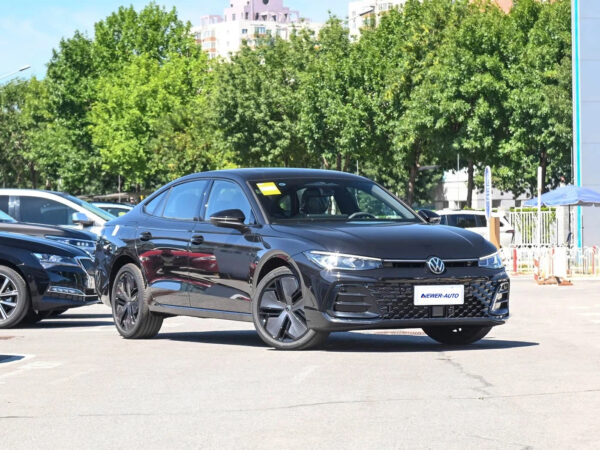 Volkswagen Passat Starry Sky Dragon Edition