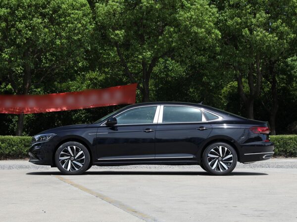 Volkswagen Passat Dragon Glory Edition