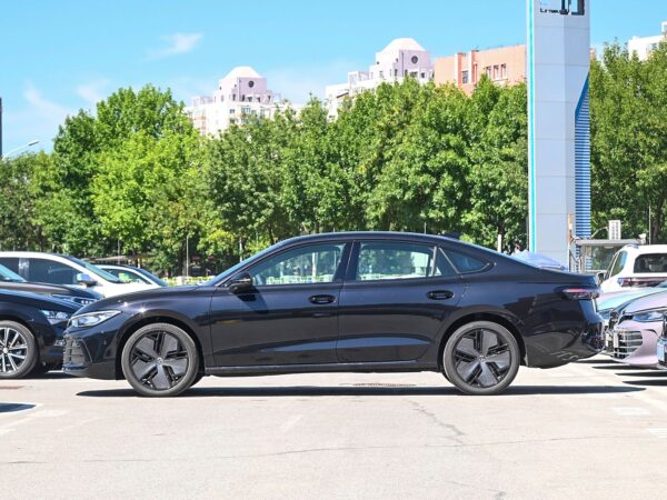 Volkswagen Passat Starry Sky Dragon Edition