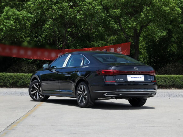 Volkswagen Passat Dragon Glory Edition