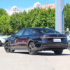 Volkswagen Passat Starry Sky Dragon Edition