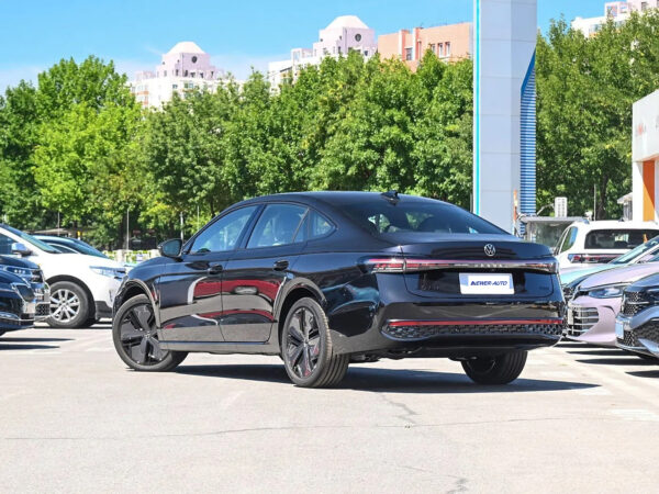 Volkswagen Passat Starry Sky Dragon Edition