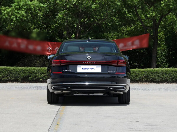 Volkswagen Passat Dragon Glory Edition