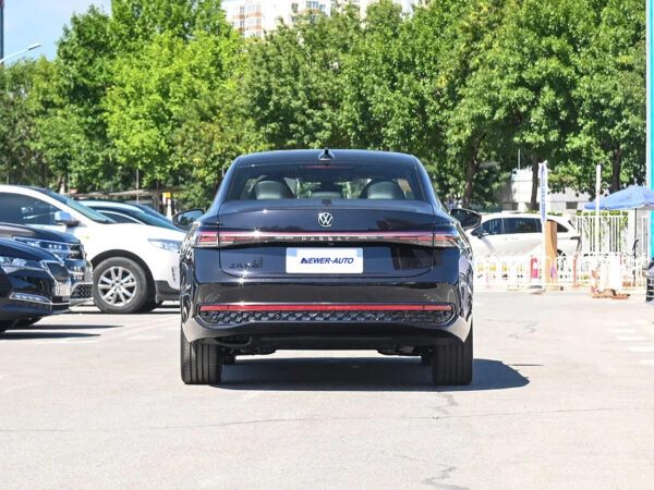 Volkswagen Passat Starry Sky Dragon Edition