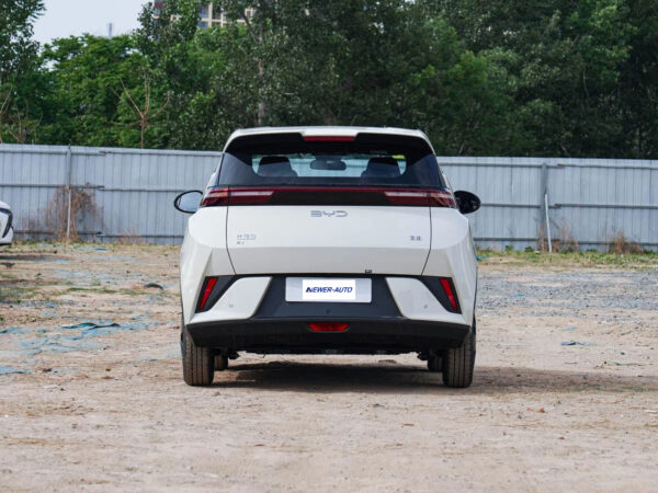 BYD Seagull Flying Edition