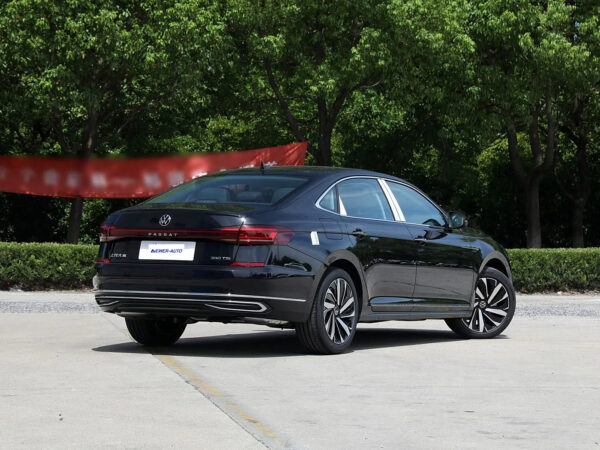 Volkswagen Passat Dragon Glory Edition