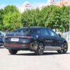 Volkswagen Passat Starry Sky Dragon Edition