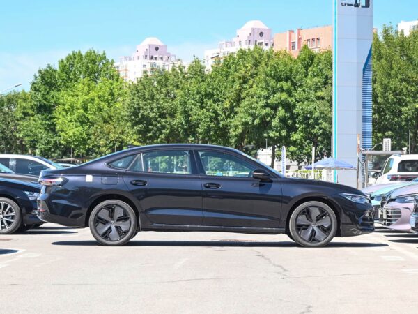 Volkswagen Passat Starry Sky Dragon Edition