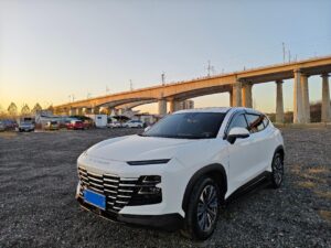 微信图片_20260114220520 2023 Jetour Dasheng 1.6T White