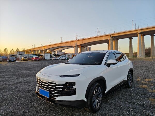 2023 Jetour Dasheng 1.6T White