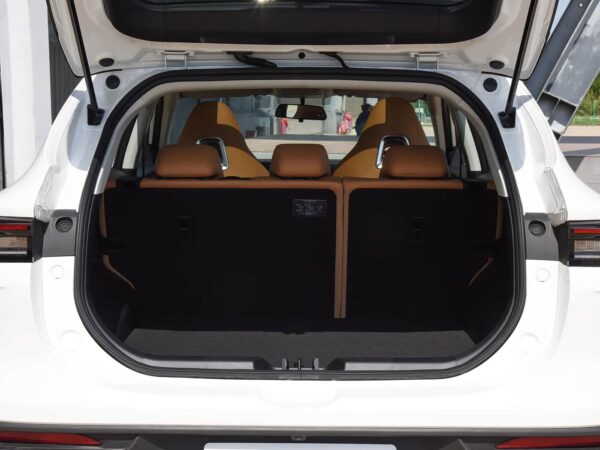 Dongfeng Forthing T5 EVO