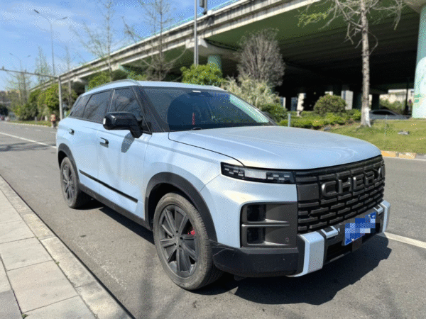 2023  Chery 06