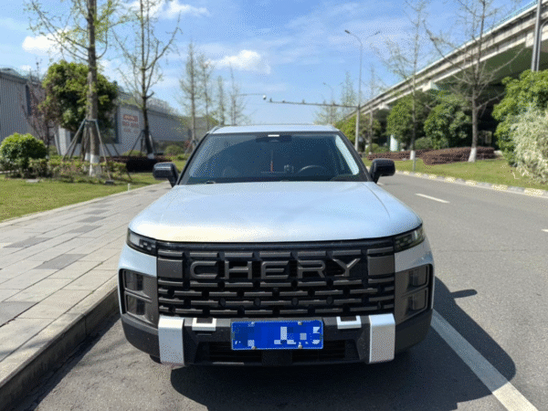 2023  Chery 06
