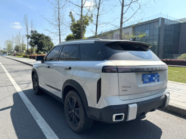 2023  Chery 06