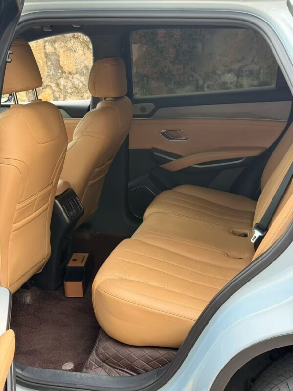 2024 BYD song L DM-i