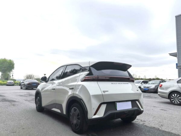 2023 BYD Seagull,305km range