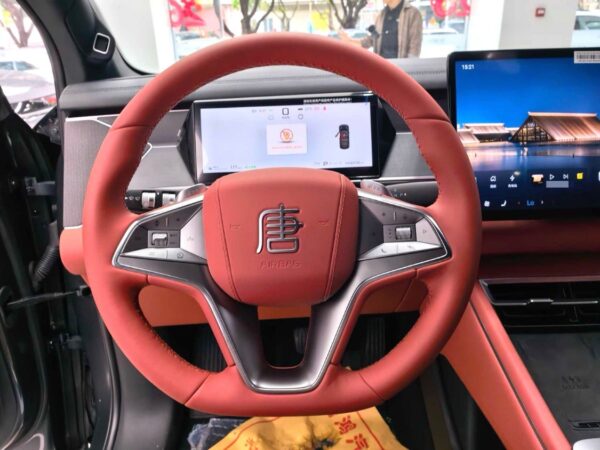 2025 Tang L EV  600Km